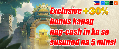 VIP Platinum Weekly Rebate promotion banner